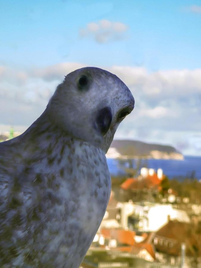 Pokoje Przy Plazy Z Widokiem Na Morze Sopot Eksteriør bilde
