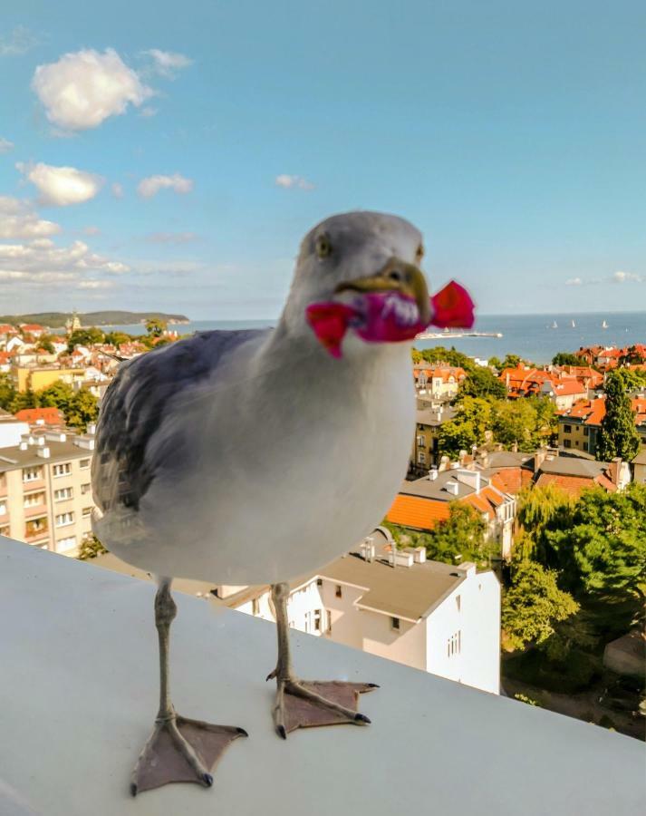 Pokoje Przy Plazy Z Widokiem Na Morze Sopot Eksteriør bilde